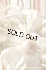 【PBオリジナル！】大粒淡水スタンダードクラスバロックパール フリーサイズリング　TypeAY　ライトアプリコットピンク×シルバー　Lサイズ